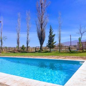 Cactus del Talampaya 2