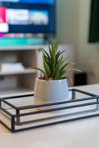 Elegant & Stylish City Apartment