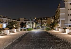 Luxurious Penthouse in Mountain View HP Pool View