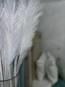 Casa De Las Muñecas RH