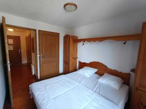 Appartement lumineux sud avec terrasse, garage couvert, accès direct piste - FR-1-445-230