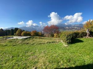 Petit chalet cosy rénové proche des pistes - FR-1-733-178