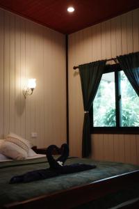 Khao Sok Green Mountain View