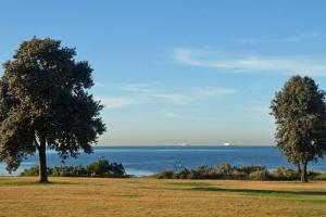 Modern room in Williamstown