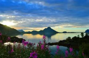 Skjellbogen Hyttegrend - Sortland