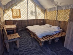 Arc 305 Degree Nature Camp