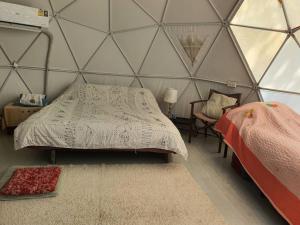 Dome Treehouses for family 2 adults 2 kids