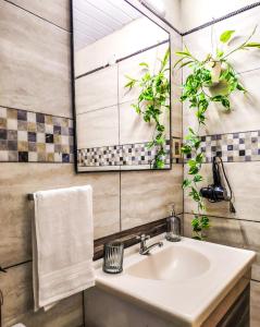 Hospedaje independiente - SKYHOME II