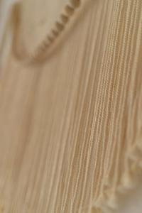 Damai Villa 2BR Modern Tropical Escape in Canggu