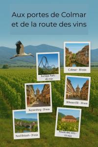 Le Petit BazArt 2 pièces proche Colmar