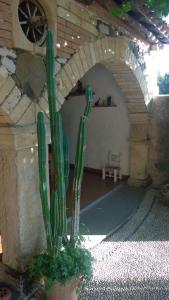 Agriturismo Il Melograno img49