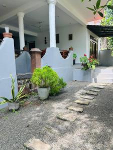 Angel Nest Resort