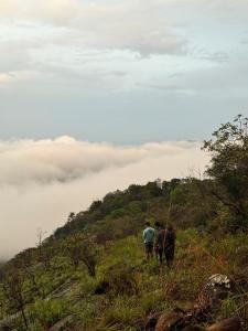 Zagahills