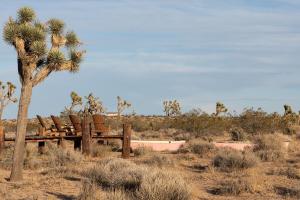 Stylish, Spa, Cowboy Pool Flamingo Social Club