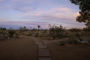 Stylish, Spa, Cowboy Pool Flamingo Social Club