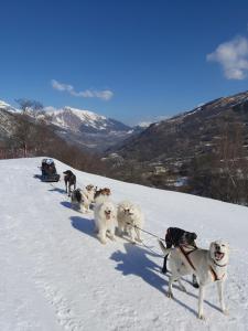 Studio Les Menuires - pied des pistes