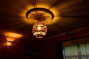 Hakuna Matata Gardens