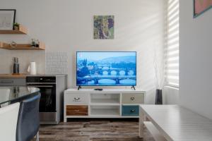 Apartment Dalimilova