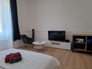 Studio apartman OLI