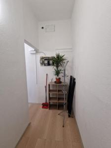Studio apartman OLI