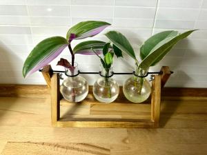 Los Flamencos, Malasaña Loft Madrid 45mq