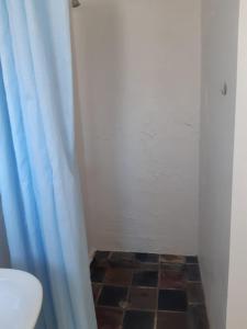 Studio with bathroom, kitchen in beautiful garden setting