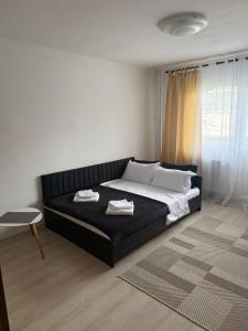 Apartament Densia in Craiova close to the center