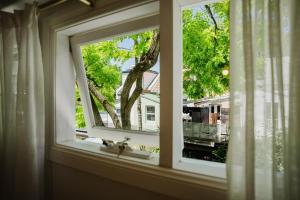 Surry Hills Terrace Retreat