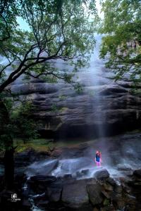 Honeyrock Farm Resort by Skybz