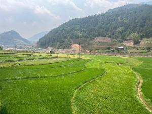 Homestay Hoà Thảo - Bus ,Trek & motorbike