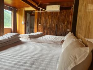 Homestay Hoà Thảo - Bus ,Trek & motorbike