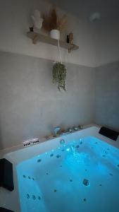 Maison MUGUET 4 SPA-PARKING-COLMAR