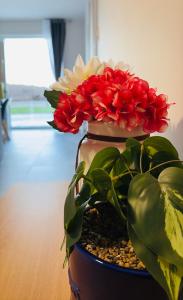 Maison MUGUET 4 SPA-PARKING-COLMAR