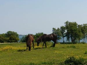 12 person holiday home in Aabenraa-By Traum