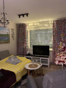 Apartment in the city of Rovaniemi