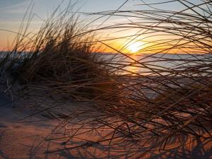 Luxury Retreat with Pool - By Traum Ferienwohnungen