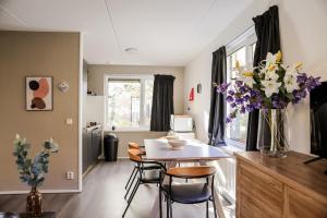 Comfortable family home with sauna - VP101