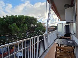 Sakura - By Ligooria