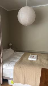 Charming studio apartment in the heart of Nørrebro, Copenhagen