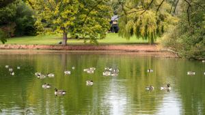 Nor67 - Witley Park House