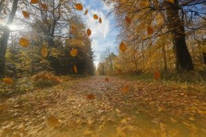 La parenthèse Normande- Balnéo - Vidéo projecteur