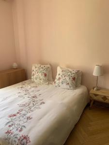 Appartement et terrasse Nice centre