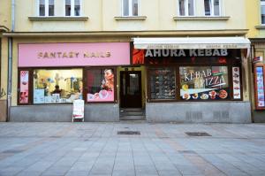 Central flat for your holiday in Karlovy Vary