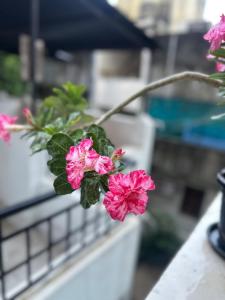 Manasas RetreatPeaceful Home for Positive Guests