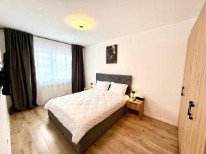 Vlad Apartament Coresi