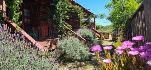 Posada Las Maravillas