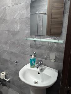 Modern Haven in Tbilisi