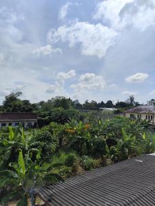 Town View Hostel - Krabi Town