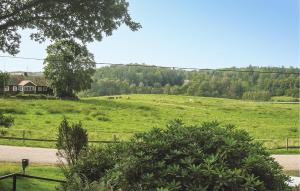 Pet Friendly Home In Höör With Kitchen