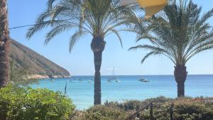 Calamora Moraira